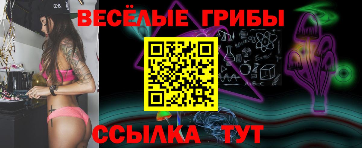 Псилоцибиновые грибы мицелий Углич
